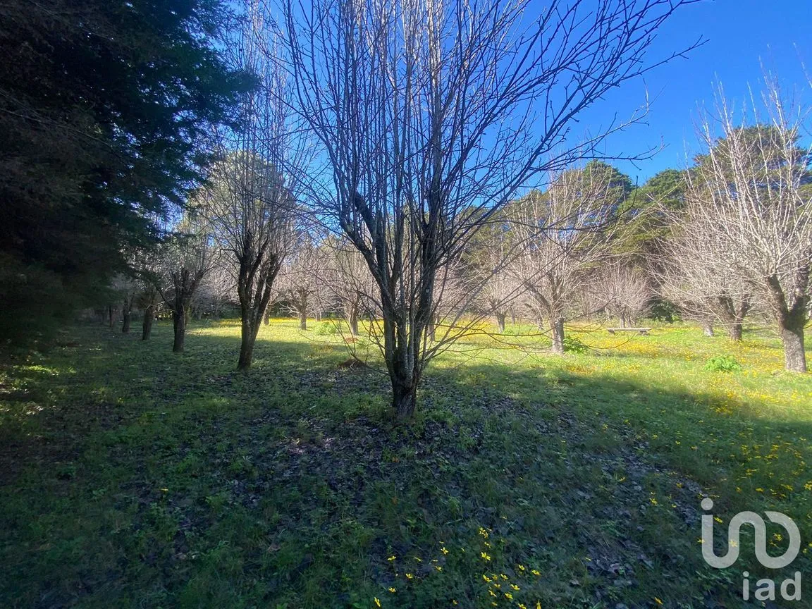 Terreno en Venta en Las Peras, San Cristóbal de las Casas, Chiapas | NEX-189282 | iad México | Foto 24 de 26