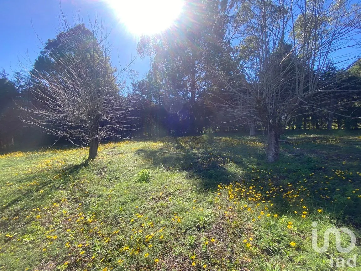 Terreno en Venta en Las Peras, San Cristóbal de las Casas, Chiapas | NEX-189282 | iad México | Foto 6 de 26