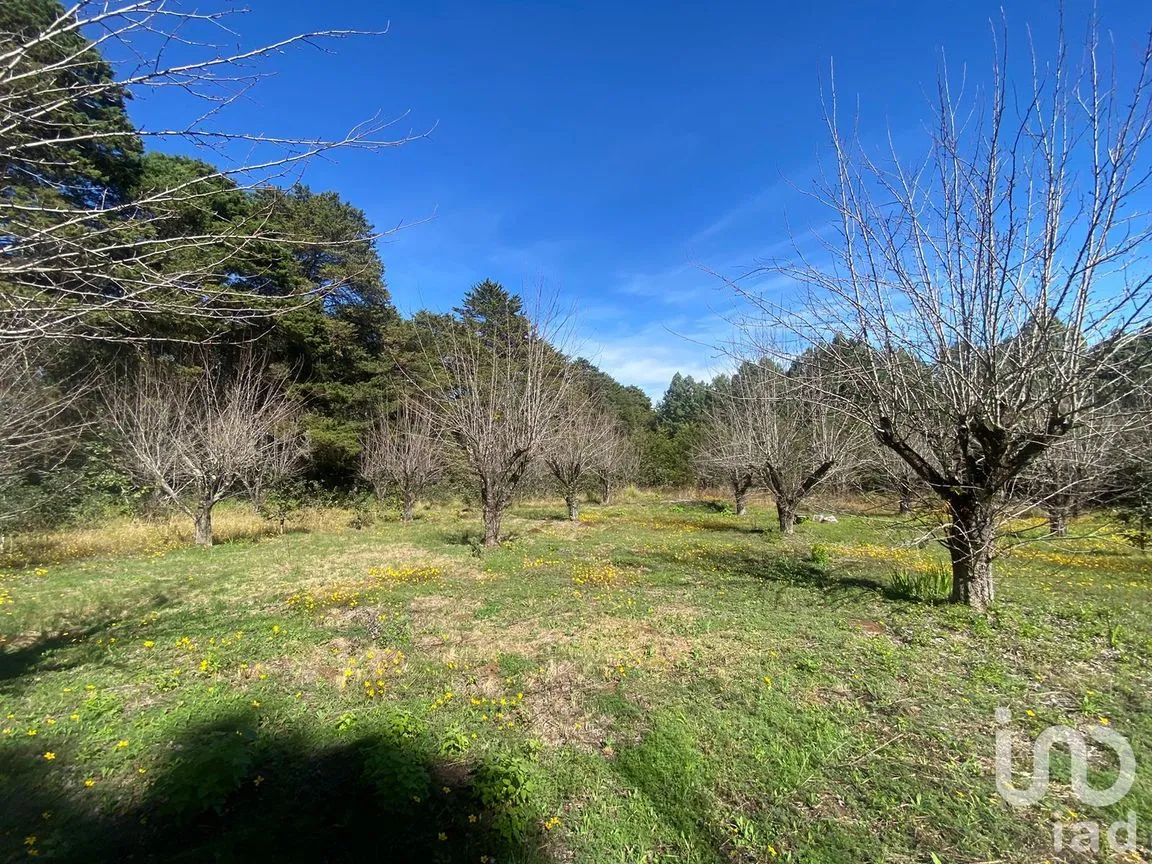 Terreno en Venta en Las Peras, San Cristóbal de las Casas, Chiapas | NEX-189282 | iad México | Foto 8 de 26