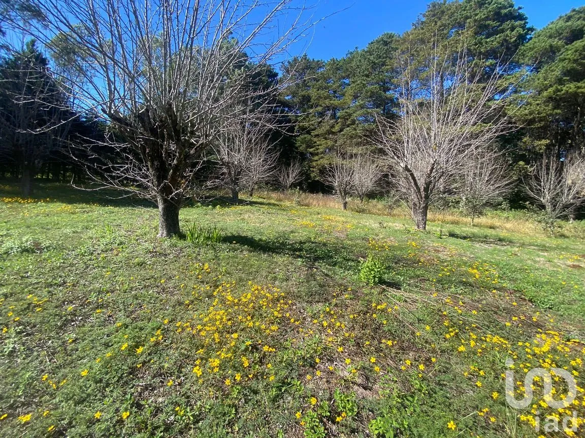 Terreno en Venta en Las Peras, San Cristóbal de las Casas, Chiapas | NEX-189282 | iad México | Foto 10 de 26