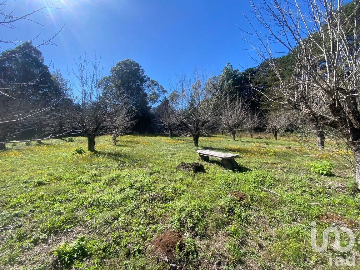 Terreno en Venta en Las Peras, San Cristóbal de las Casas, Chiapas | NEX-189282 | iad México | Foto 1 de 26