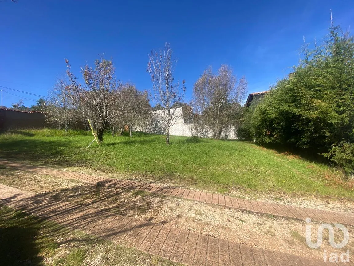 Terreno en Venta en Las Peras, San Cristóbal de las Casas, Chiapas | NEX-189283 | iad México | Foto 2 de 10