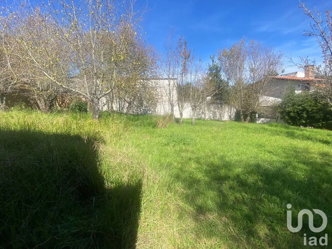 Terreno en Venta en Las Peras, San Cristóbal de las Casas, Chiapas | NEX-189283 | iad México | Foto 8 de 10