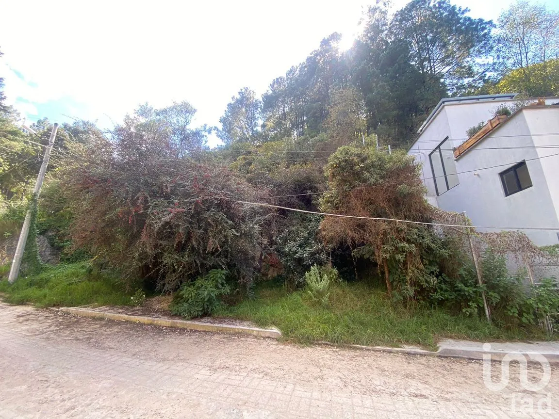 Terreno en Venta en San Nicolás, San Cristóbal de las Casas, Chiapas | NEX-190233 | iad México | Foto 6 de 10