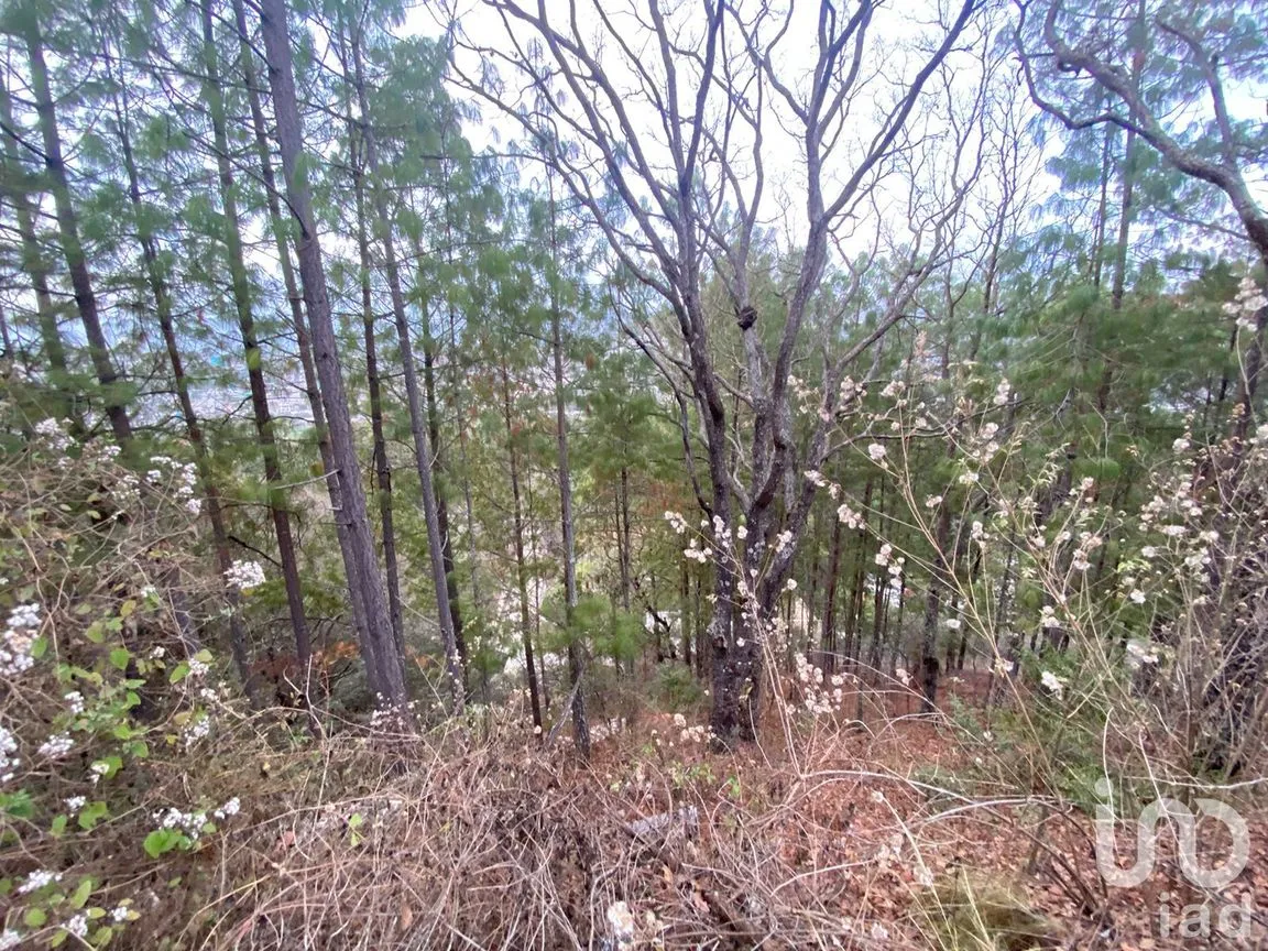 Terreno en Venta en San Nicolás, San Cristóbal de las Casas, Chiapas | NEX-198540 | iad México | Foto 11 de 11