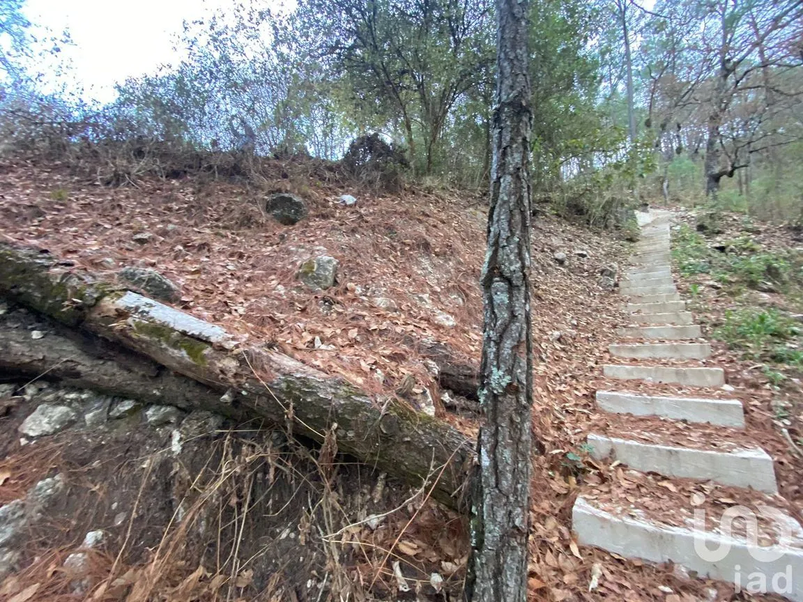 Terreno en Venta en San Nicolás, San Cristóbal de las Casas, Chiapas | NEX-198540 | iad México | Foto 6 de 11
