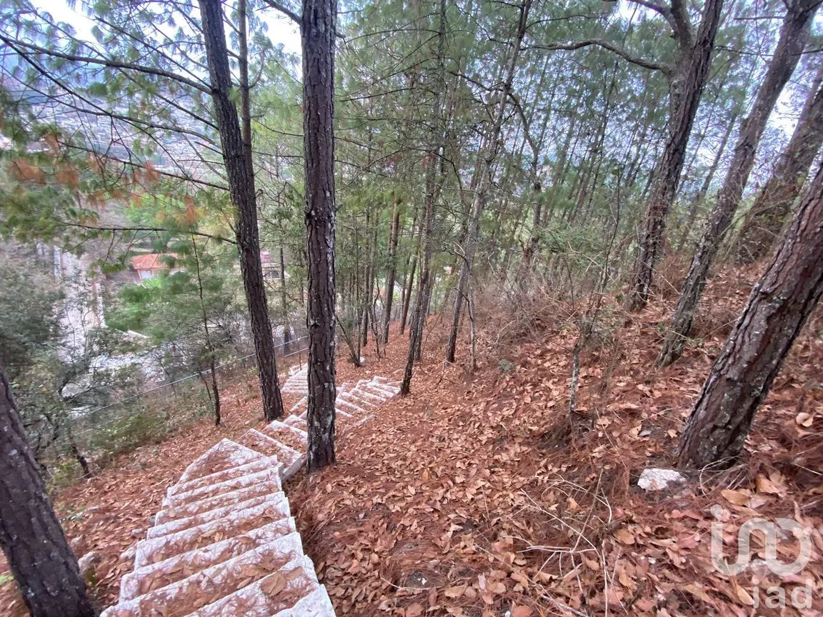 Terreno en Venta en San Nicolás, San Cristóbal de las Casas, Chiapas | NEX-198540 | iad México | Foto 7 de 11