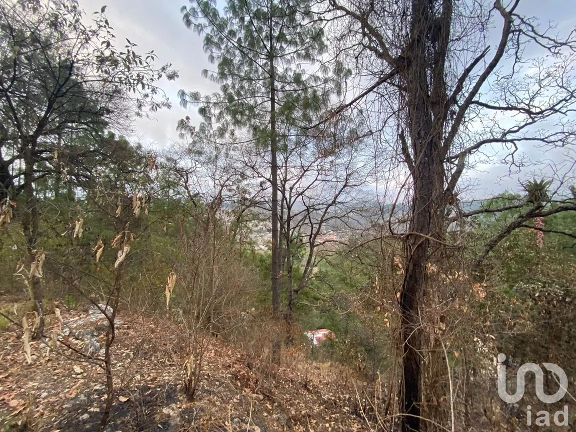 Terreno en Venta en San Nicolás, San Cristóbal de las Casas, Chiapas | NEX-198540 | iad México | Foto 10 de 11