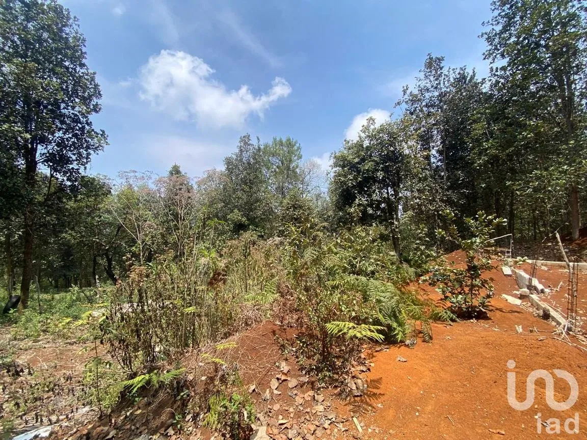 Terreno en Venta en San José Betania, San Cristóbal de las Casas, Chiapas | NEX-212698 | iad México | Foto 3 de 9