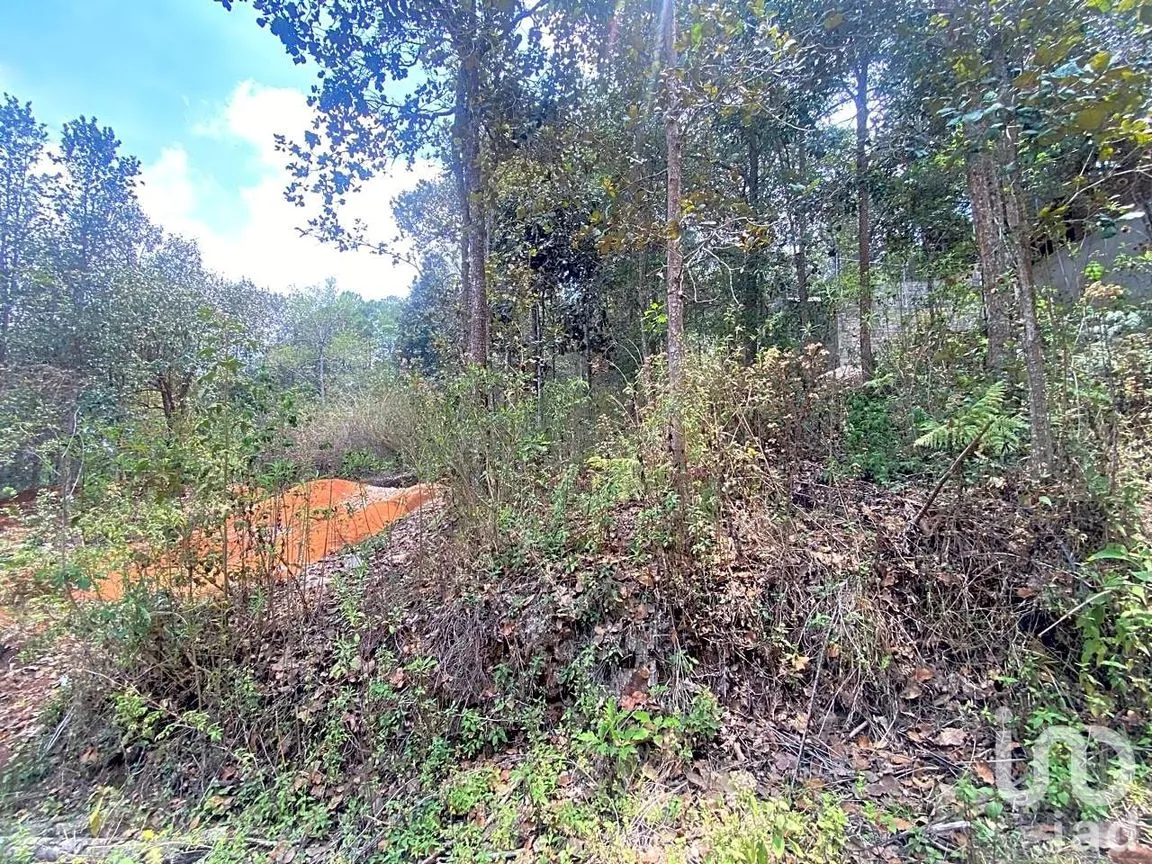 Terreno en Venta en San José Betania, San Cristóbal de las Casas, Chiapas | NEX-212698 | iad México | Foto 4 de 9