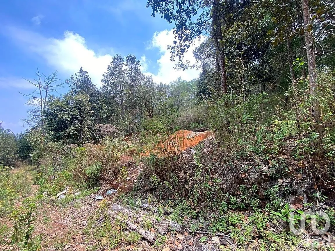 Terreno en Venta en San José Betania, San Cristóbal de las Casas, Chiapas | NEX-212698 | iad México | Foto 6 de 9