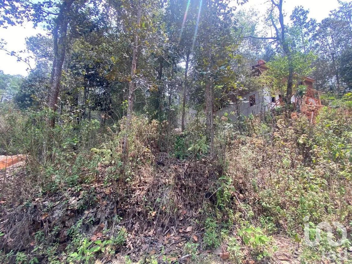 Terreno en Venta en San José Betania, San Cristóbal de las Casas, Chiapas | NEX-212698 | iad México | Foto 7 de 9