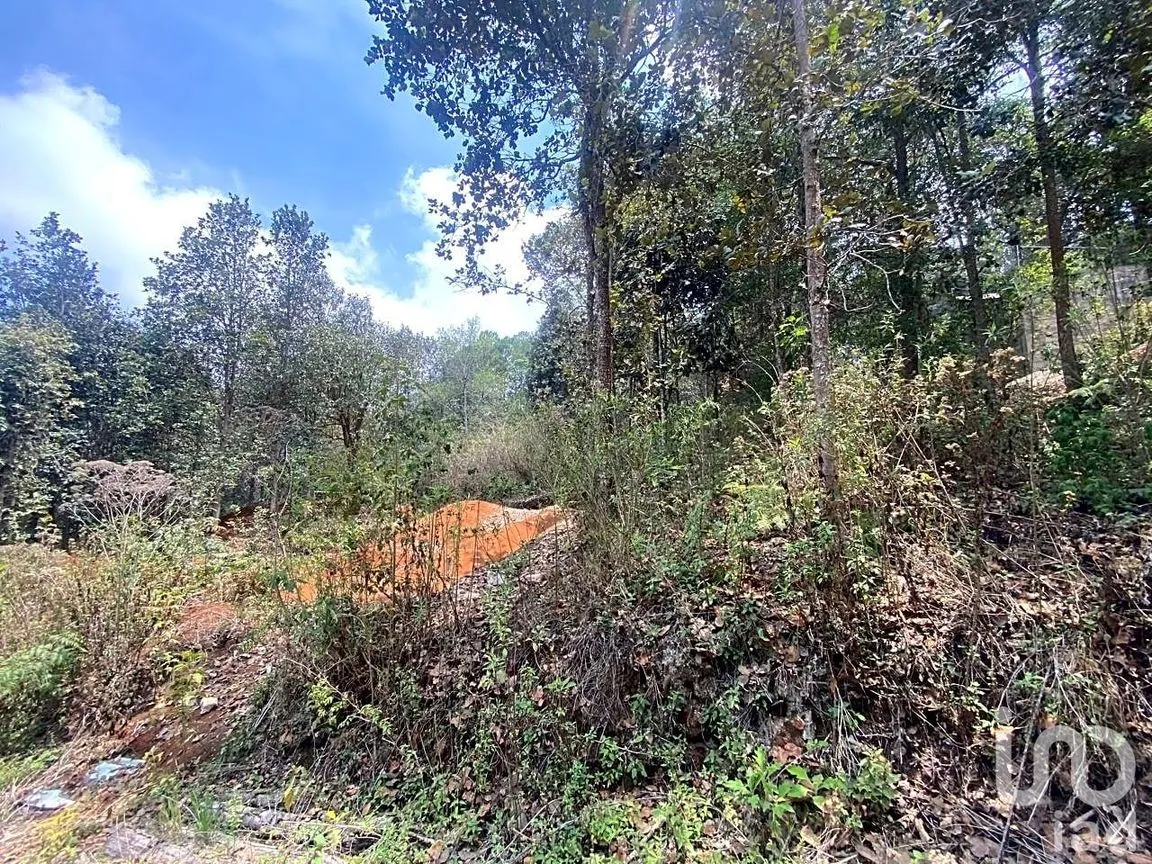 Terreno en Venta en San José Betania, San Cristóbal de las Casas, Chiapas | NEX-212698 | iad México | Foto 8 de 9