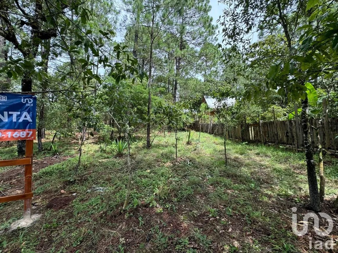 Terreno en Venta en Chijiltec (San Isidro), Teopisca, Chiapas | NEX-232897 | iad México | Foto 2 de 17