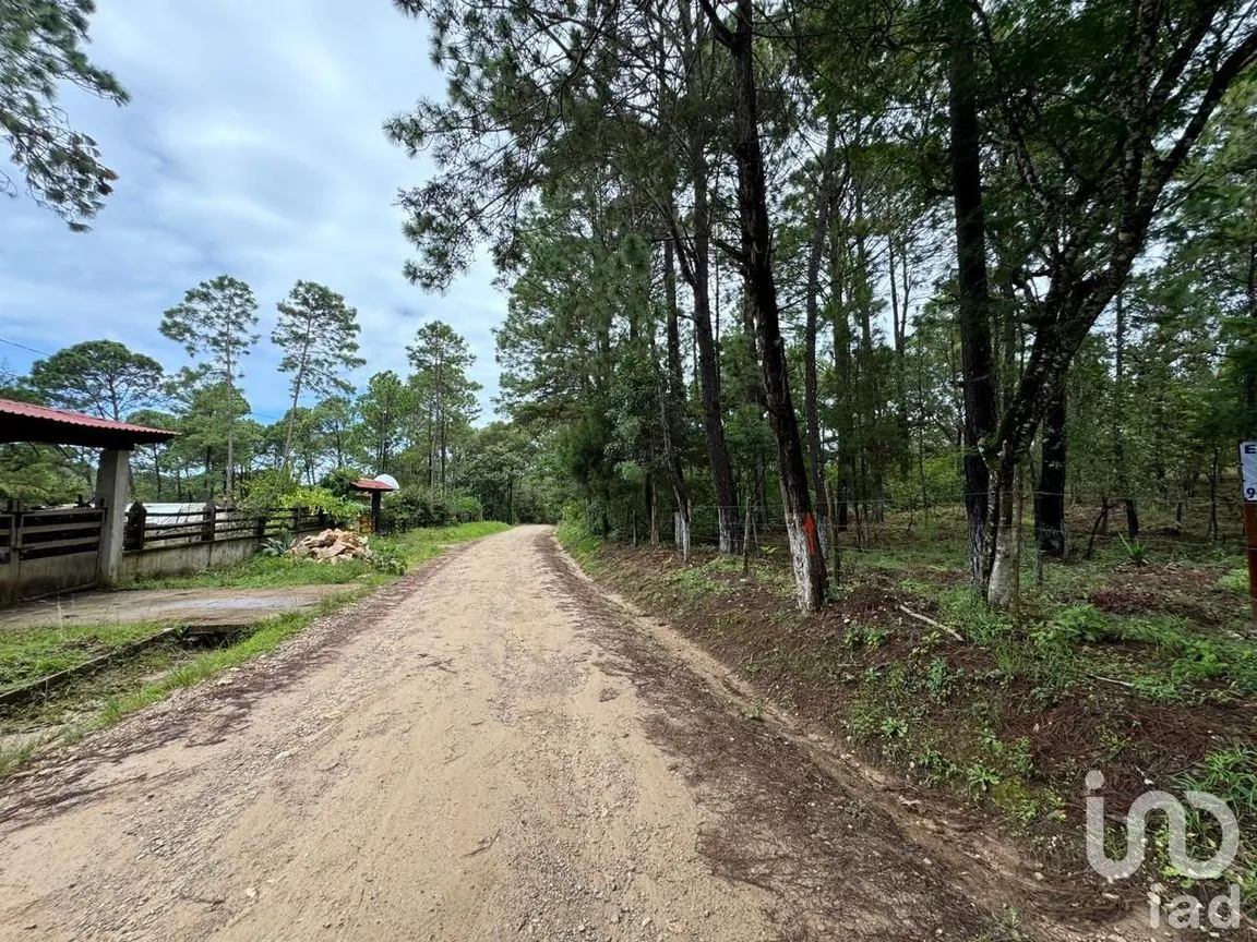 Terreno en Venta en Chijiltec (San Isidro), Teopisca, Chiapas | NEX-232897 | iad México | Foto 11 de 17