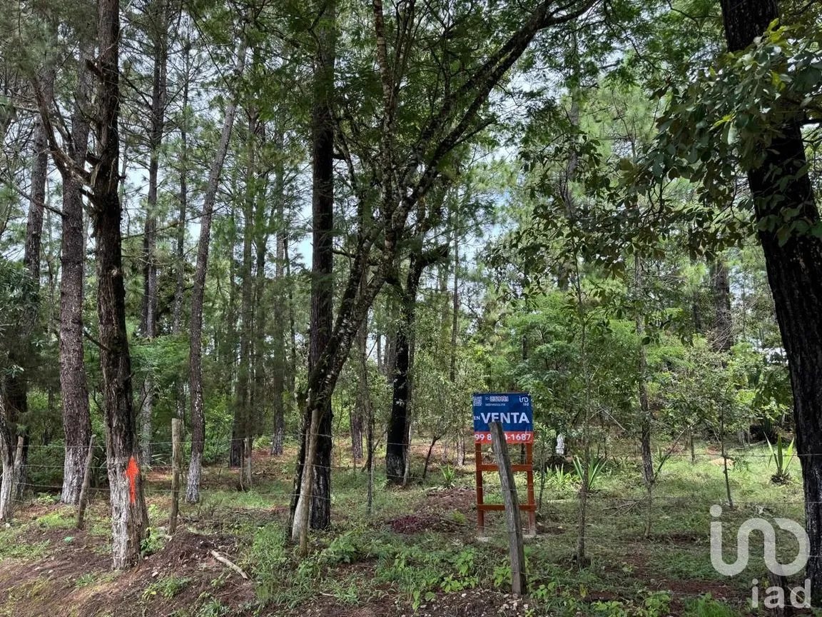 Terreno en Venta en Chijiltec (San Isidro), Teopisca, Chiapas | NEX-232897 | iad México | Foto 12 de 17