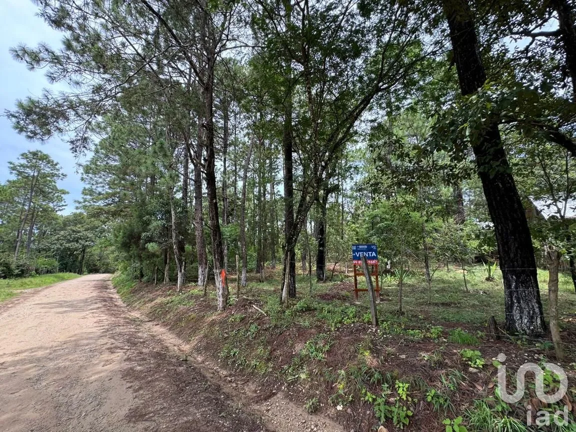 Terreno en Venta en Chijiltec (San Isidro), Teopisca, Chiapas | NEX-232897 | iad México | Foto 13 de 17