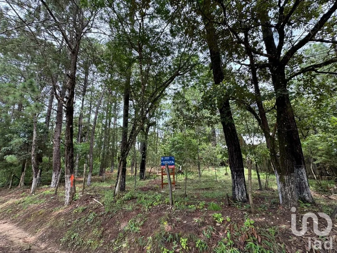 Terreno en Venta en Chijiltec (San Isidro), Teopisca, Chiapas | NEX-232897 | iad México | Foto 14 de 17