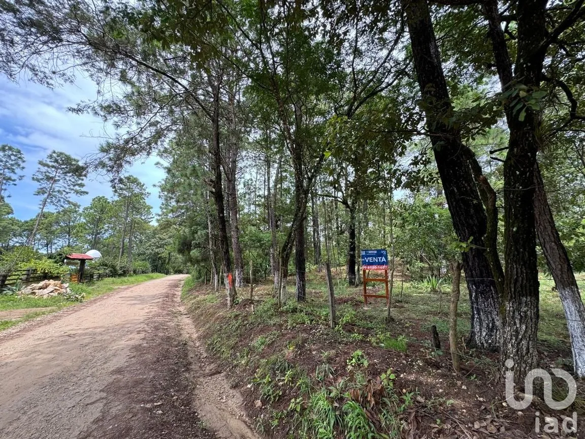 Terreno en Venta en Chijiltec (San Isidro), Teopisca, Chiapas | NEX-232897 | iad México | Foto 15 de 17