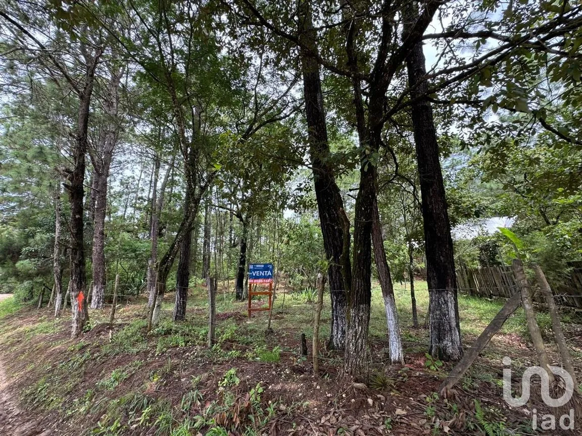 Terreno en Venta en Chijiltec (San Isidro), Teopisca, Chiapas | NEX-232897 | iad México | Foto 16 de 17