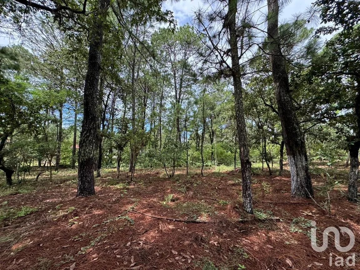 Terreno en Venta en Chijiltec (San Isidro), Teopisca, Chiapas | NEX-232897 | iad México | Foto 17 de 17