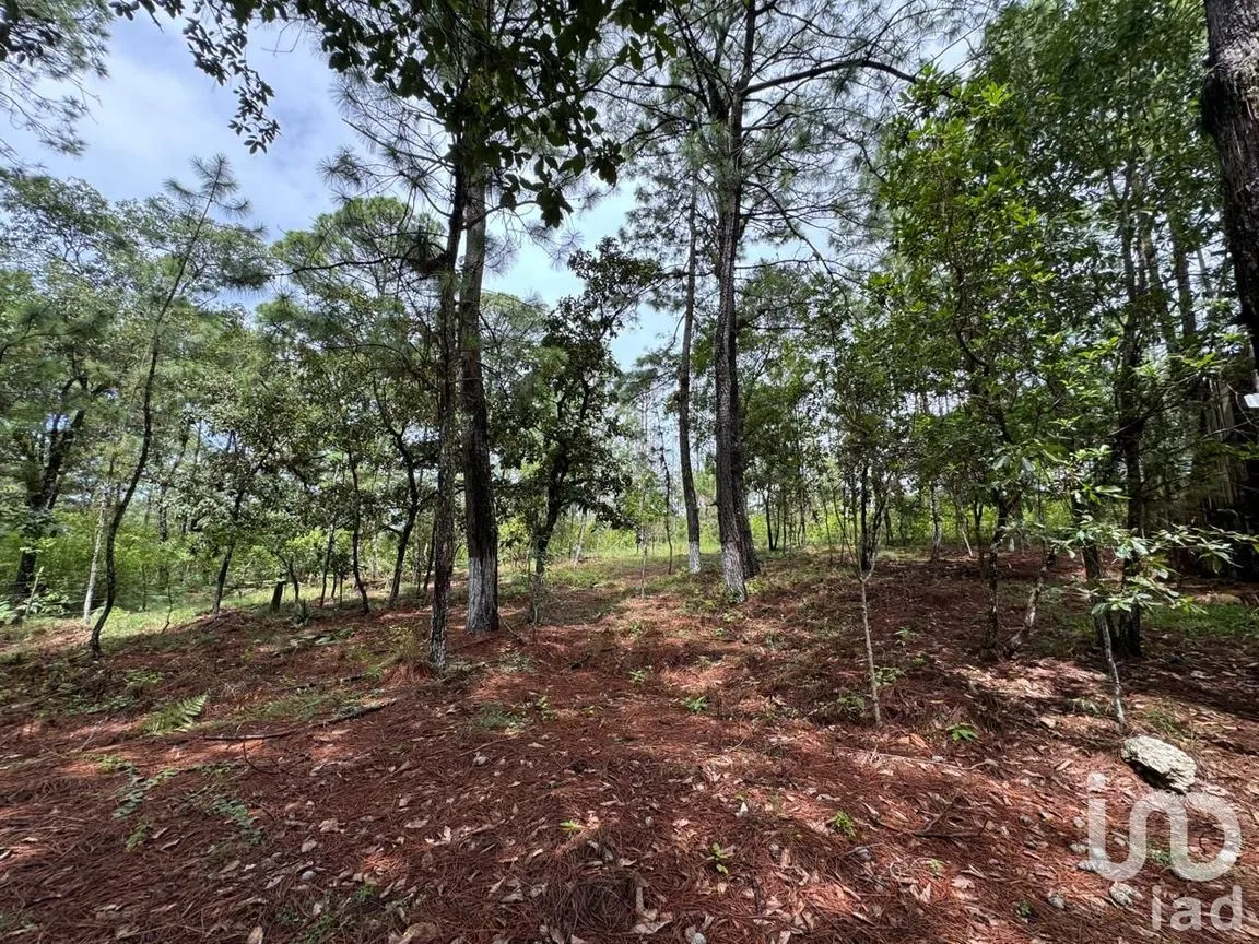Terreno en Venta en Chijiltec (San Isidro), Teopisca, Chiapas | NEX-232897 | iad México | Foto 4 de 17