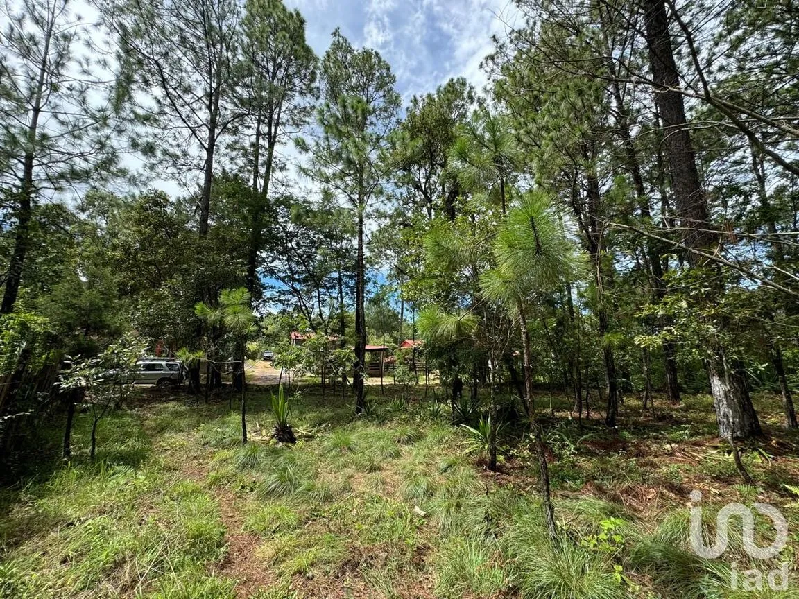 Terreno en Venta en Chijiltec (San Isidro), Teopisca, Chiapas | NEX-232897 | iad México | Foto 6 de 17