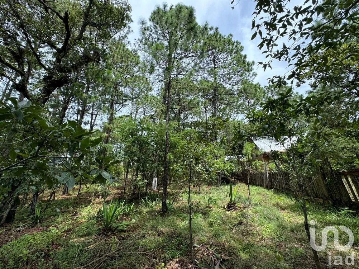 Terreno en Venta en Chijiltec (San Isidro), Teopisca, Chiapas | NEX-232897 | iad México | Foto 8 de 17