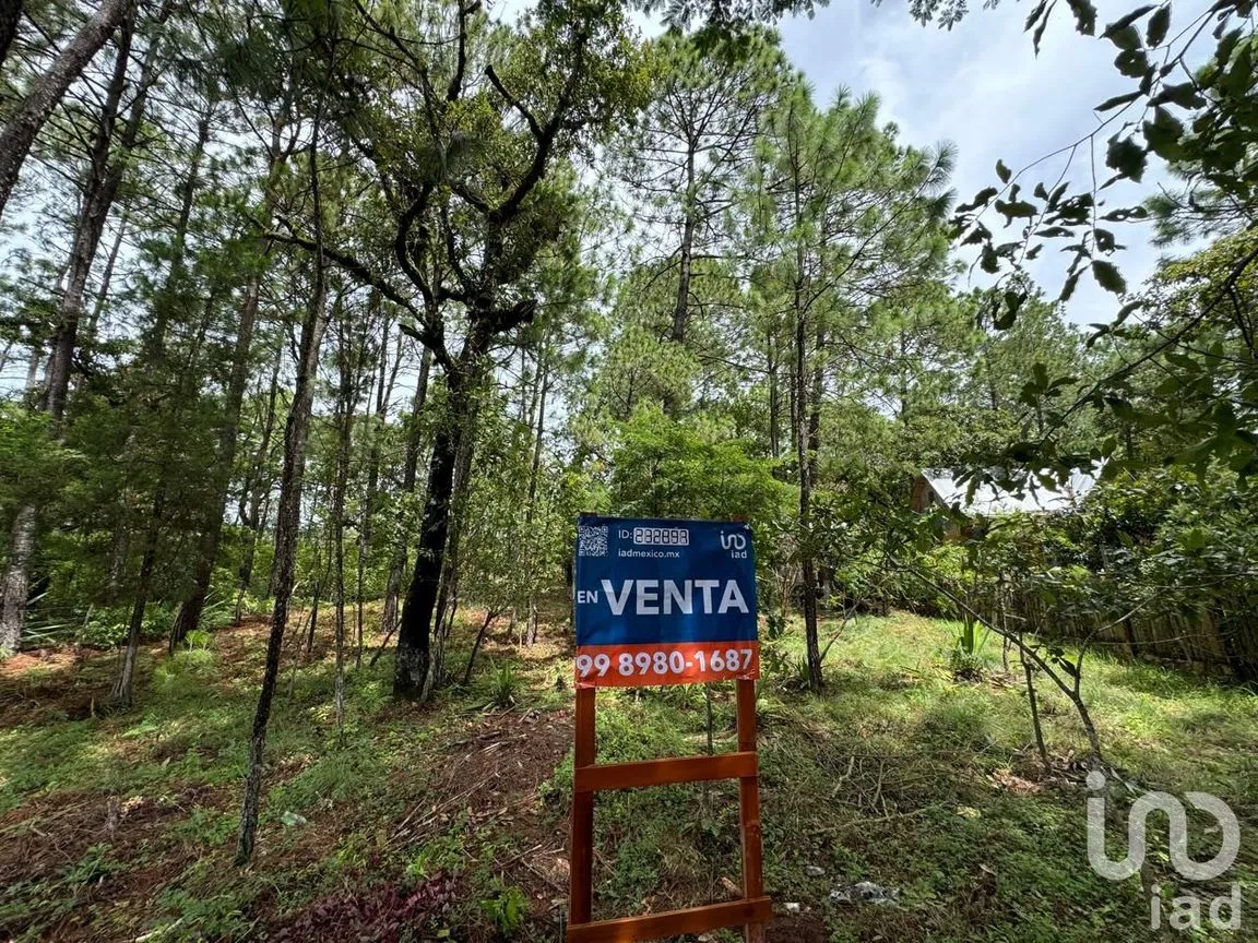 Terreno en Venta en Chijiltec (San Isidro), Teopisca, Chiapas | NEX-232897 | iad México | Foto 9 de 17
