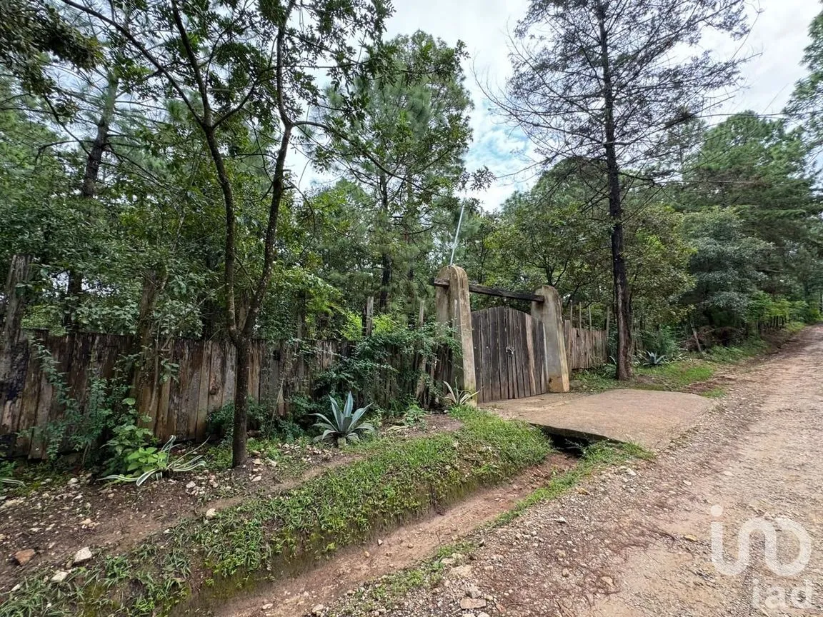 Terreno en Venta en Chijiltec (San Isidro), Teopisca, Chiapas | NEX-232897 | iad México | Foto 10 de 17