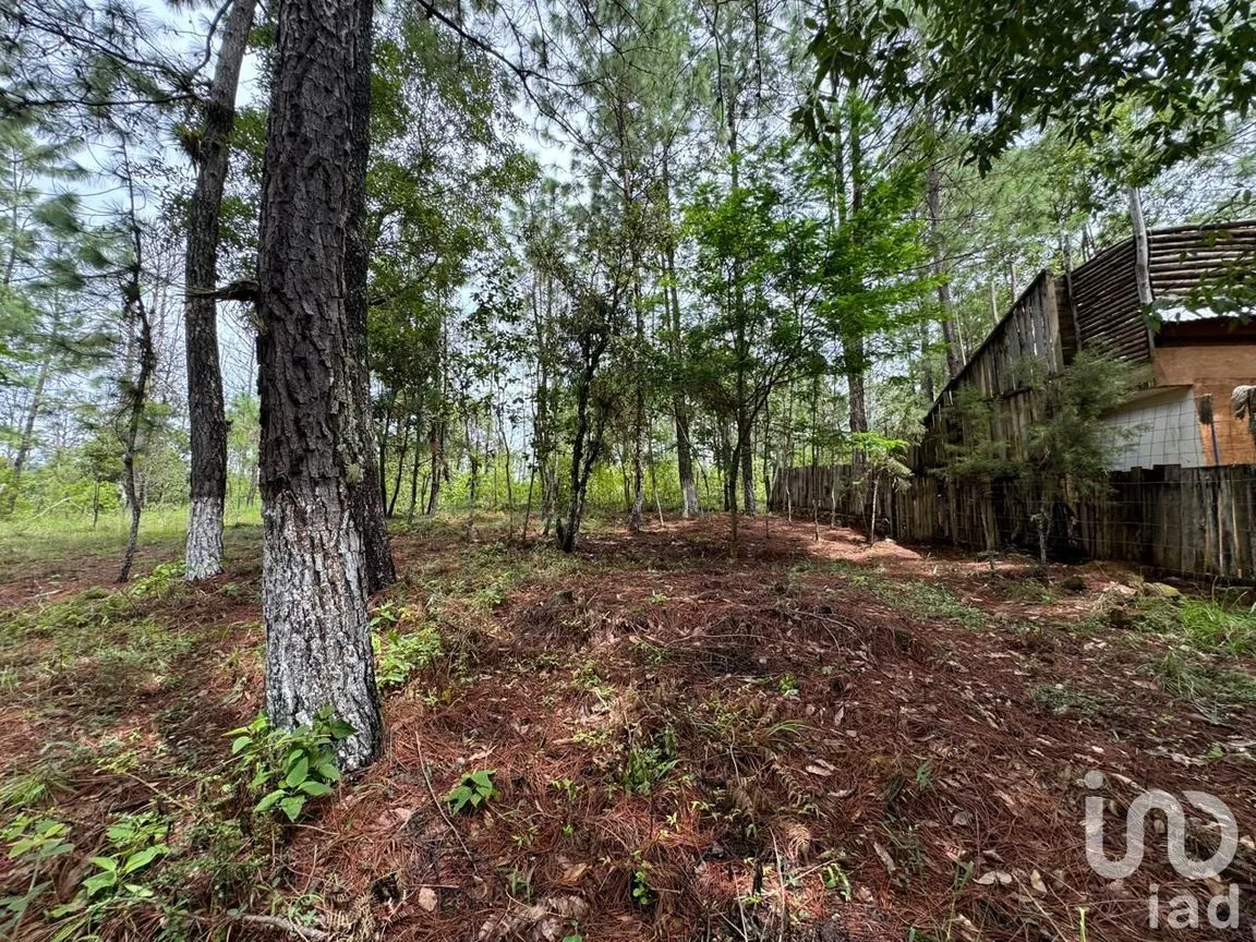 Terreno en Venta en Chijiltec (San Isidro), Teopisca, Chiapas | NEX-232897 | iad México | Foto 1 de 17