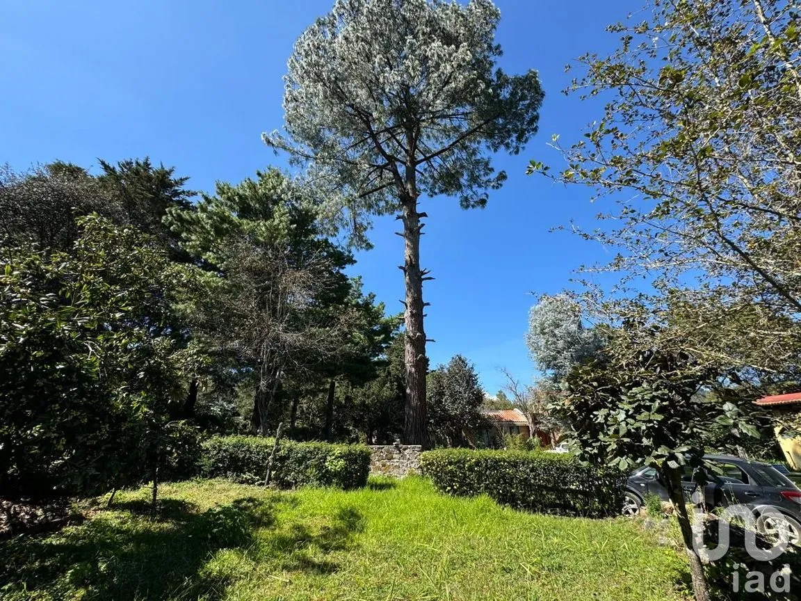 Terreno en Venta en La Quinta San Martín, San Cristóbal de las Casas, Chiapas | NEX-238904 | iad México | Foto 11 de 18