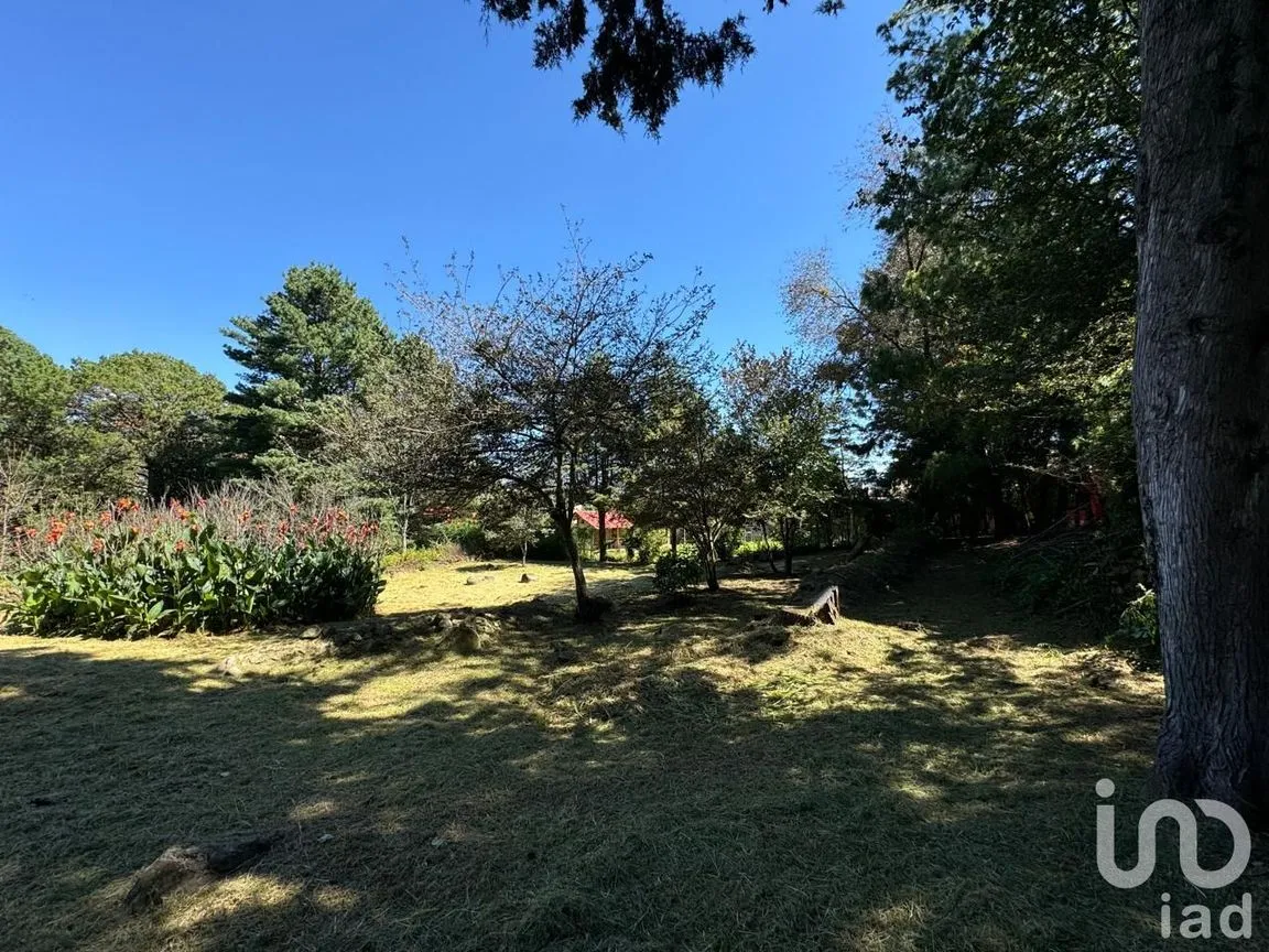 Terreno en Venta en La Quinta San Martín, San Cristóbal de las Casas, Chiapas | NEX-238904 | iad México | Foto 13 de 18