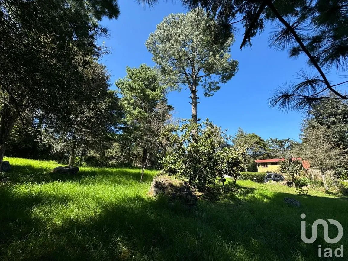 Terreno en Venta en La Quinta San Martín, San Cristóbal de las Casas, Chiapas | NEX-238904 | iad México | Foto 14 de 18