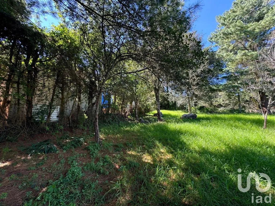 Terreno en Venta en La Quinta San Martín, San Cristóbal de las Casas, Chiapas | NEX-238904 | iad México | Foto 15 de 18