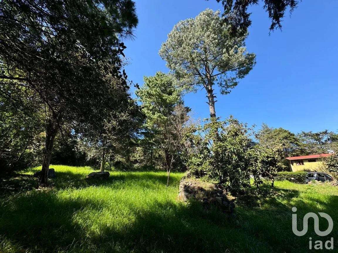 Terreno en Venta en La Quinta San Martín, San Cristóbal de las Casas, Chiapas | NEX-238904 | iad México | Foto 16 de 18