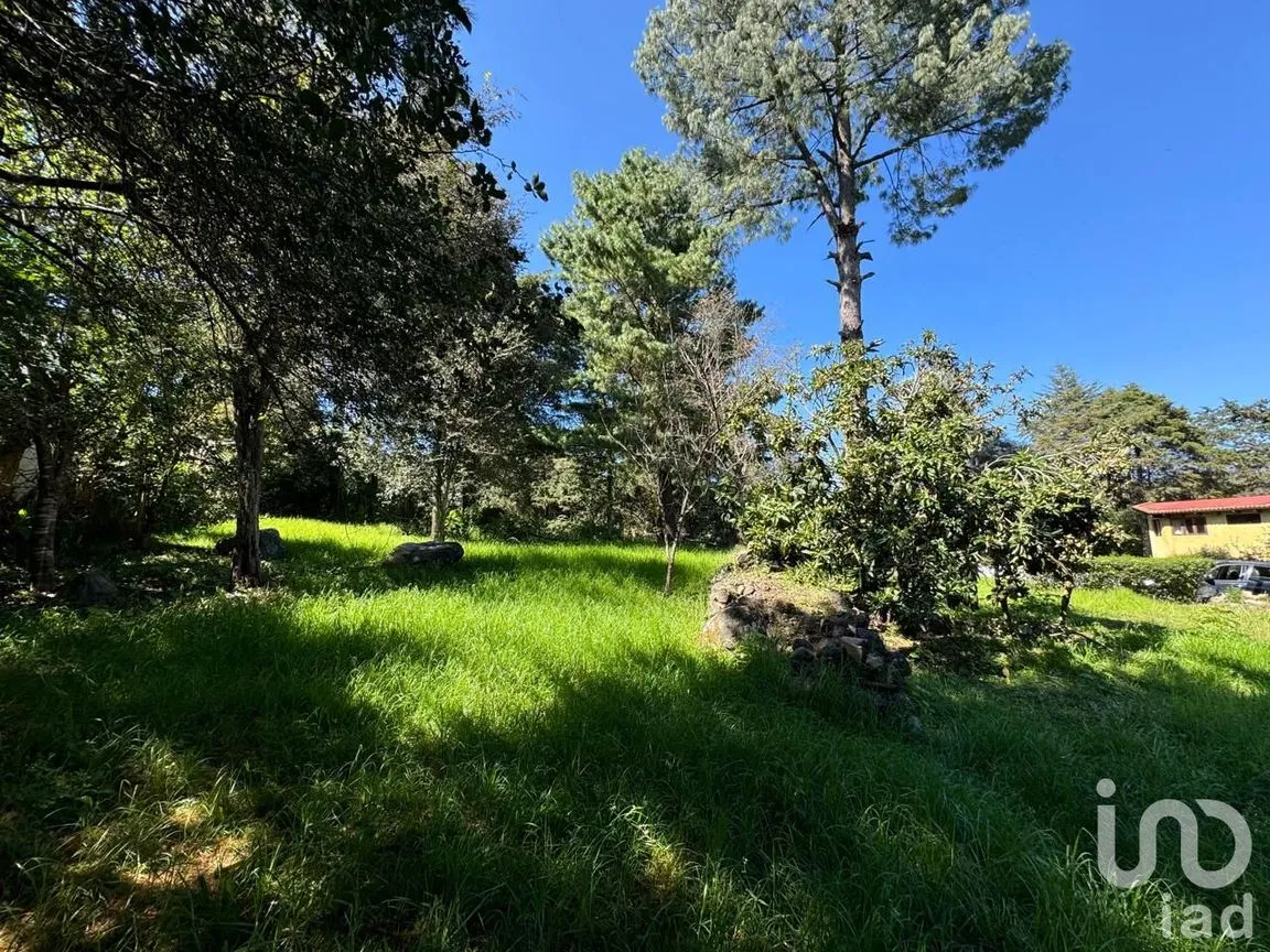 Terreno en Venta en La Quinta San Martín, San Cristóbal de las Casas, Chiapas | NEX-238904 | iad México | Foto 17 de 18