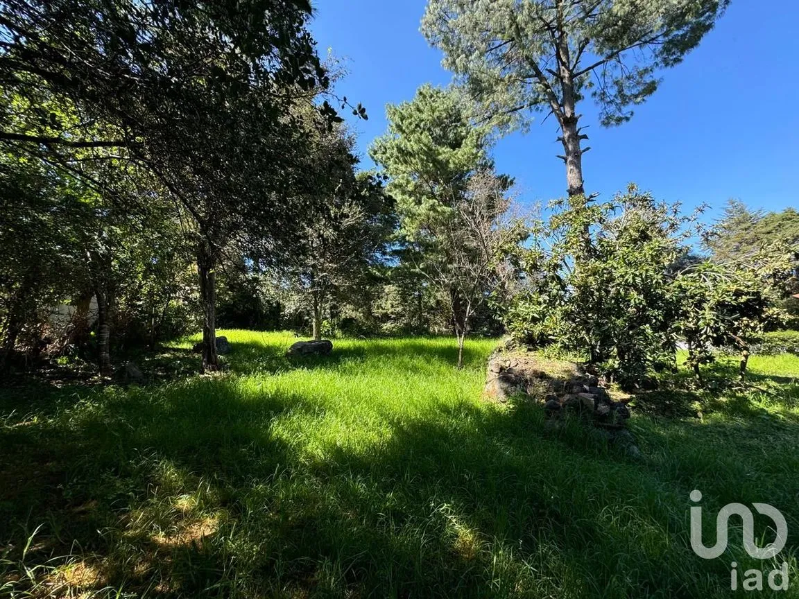 Terreno en Venta en La Quinta San Martín, San Cristóbal de las Casas, Chiapas | NEX-238904 | iad México | Foto 18 de 18