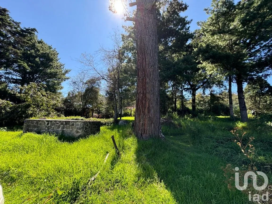Terreno en Venta en La Quinta San Martín, San Cristóbal de las Casas, Chiapas | NEX-238904 | iad México | Foto 6 de 18