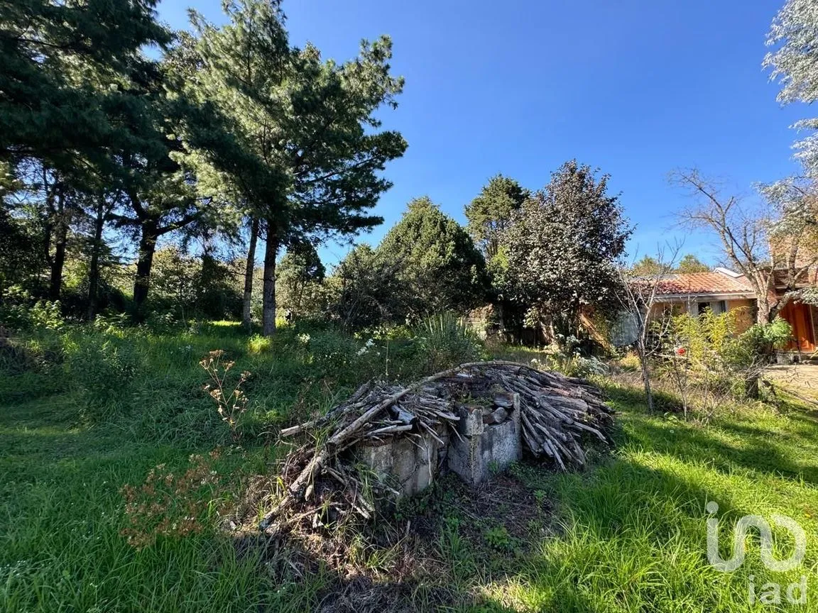 Terreno en Venta en La Quinta San Martín, San Cristóbal de las Casas, Chiapas | NEX-238904 | iad México | Foto 7 de 18