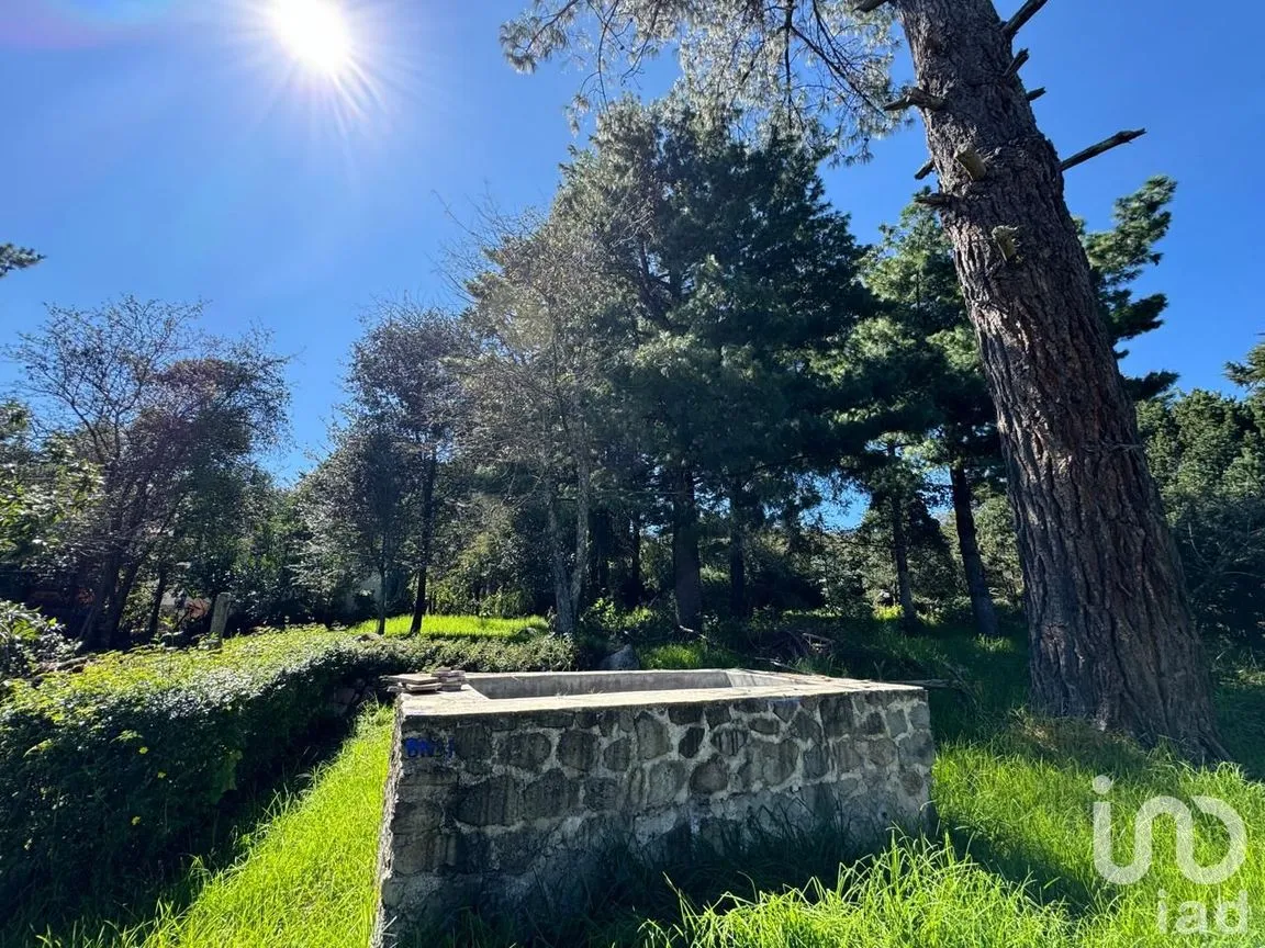 Terreno en Venta en La Quinta San Martín, San Cristóbal de las Casas, Chiapas | NEX-238904 | iad México | Foto 9 de 18