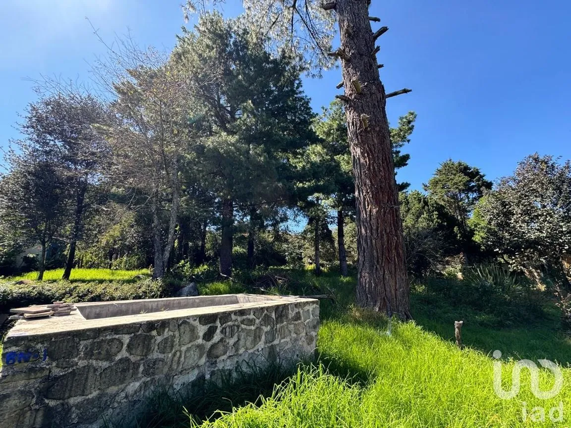 Terreno en Venta en La Quinta San Martín, San Cristóbal de las Casas, Chiapas | NEX-238904 | iad México | Foto 10 de 18