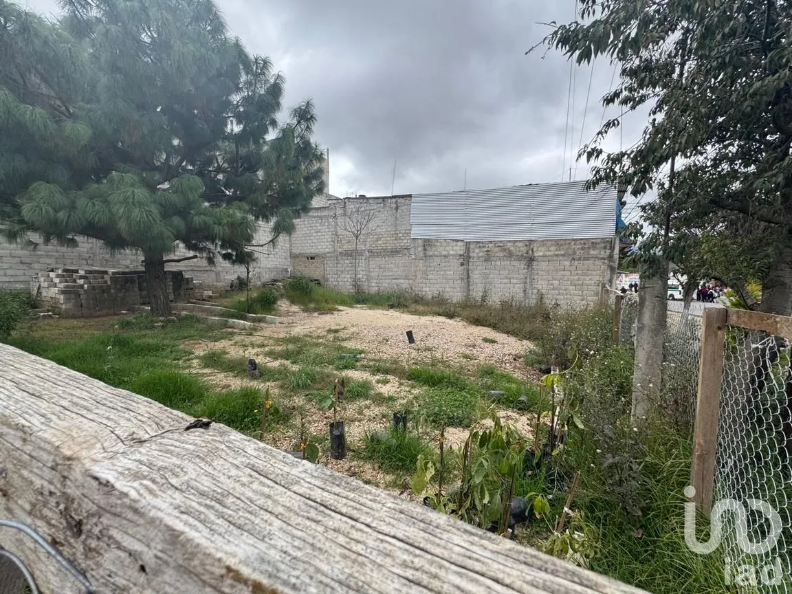 Terreno en Renta en María Auxiliadora, San Cristóbal de las Casas, Chiapas | NEX-239058 | iad México | Foto 6 de 9