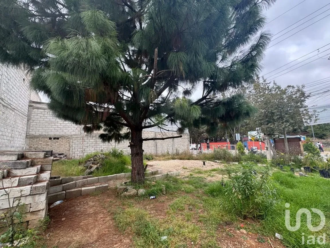 Terreno en Renta en María Auxiliadora, San Cristóbal de las Casas, Chiapas | NEX-239058 | iad México | Foto 7 de 9