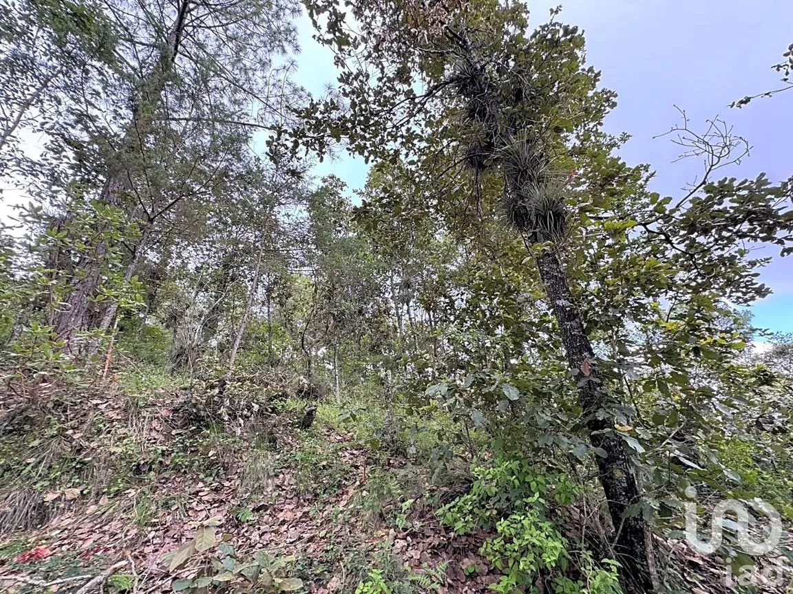 Terreno en Venta en Huitepec Ocotal Sección II, San Cristóbal de las Casas, Chiapas | NEX-259371 | iad México | Foto 11 de 13