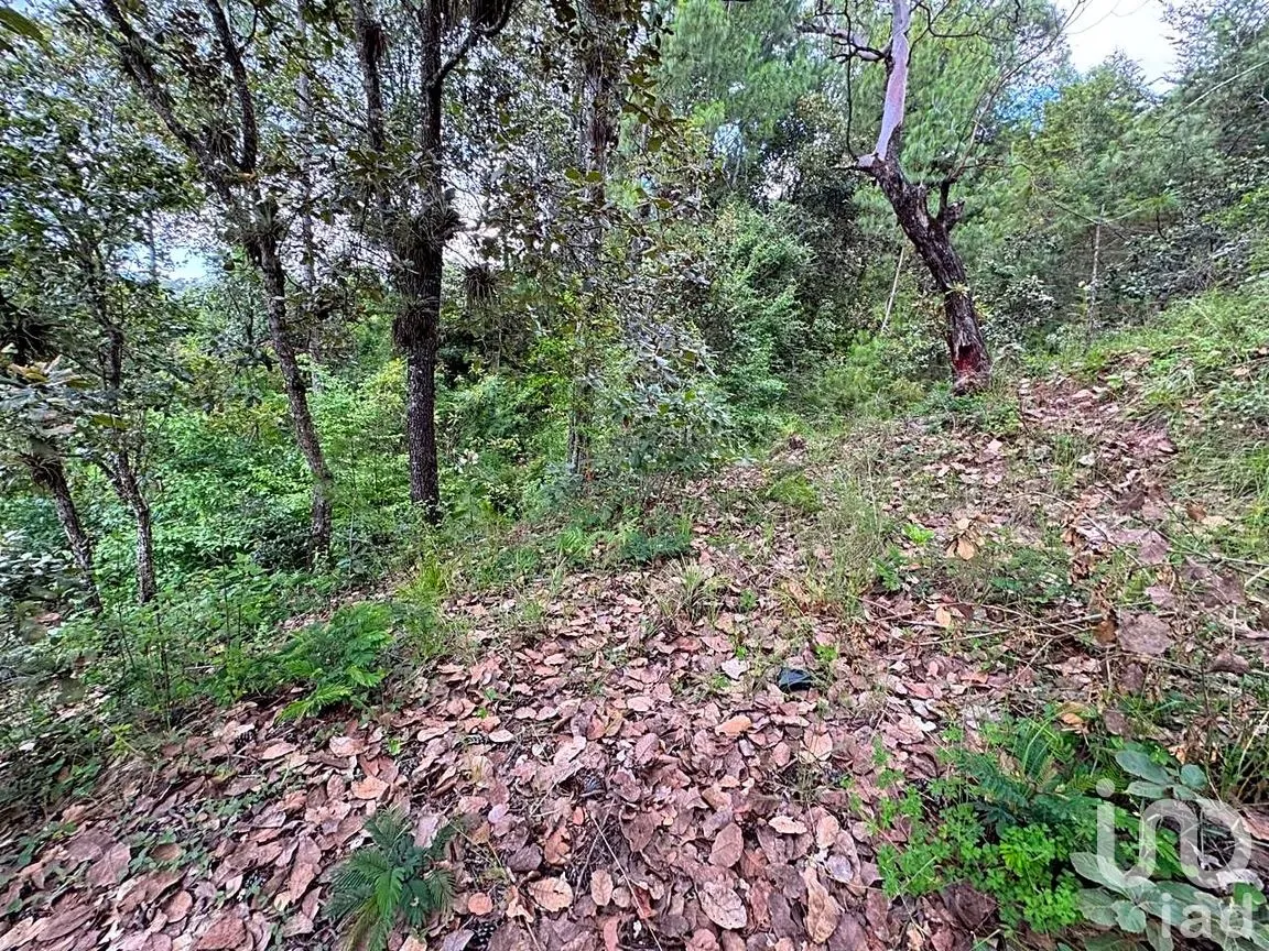 Terreno en Venta en Huitepec Ocotal Sección II, San Cristóbal de las Casas, Chiapas | NEX-259371 | iad México | Foto 13 de 13