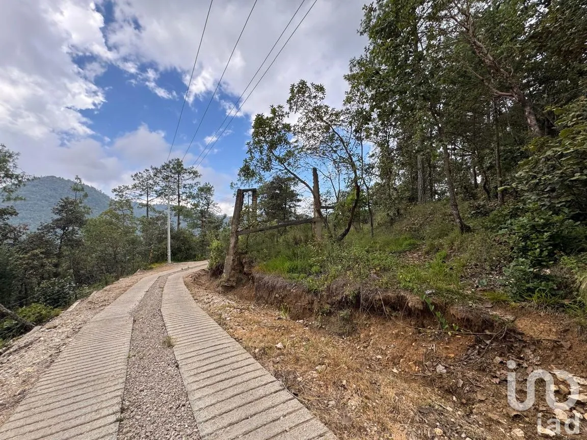 Terreno en Venta en Huitepec Ocotal Sección II, San Cristóbal de las Casas, Chiapas | NEX-259371 | iad México | Foto 4 de 13