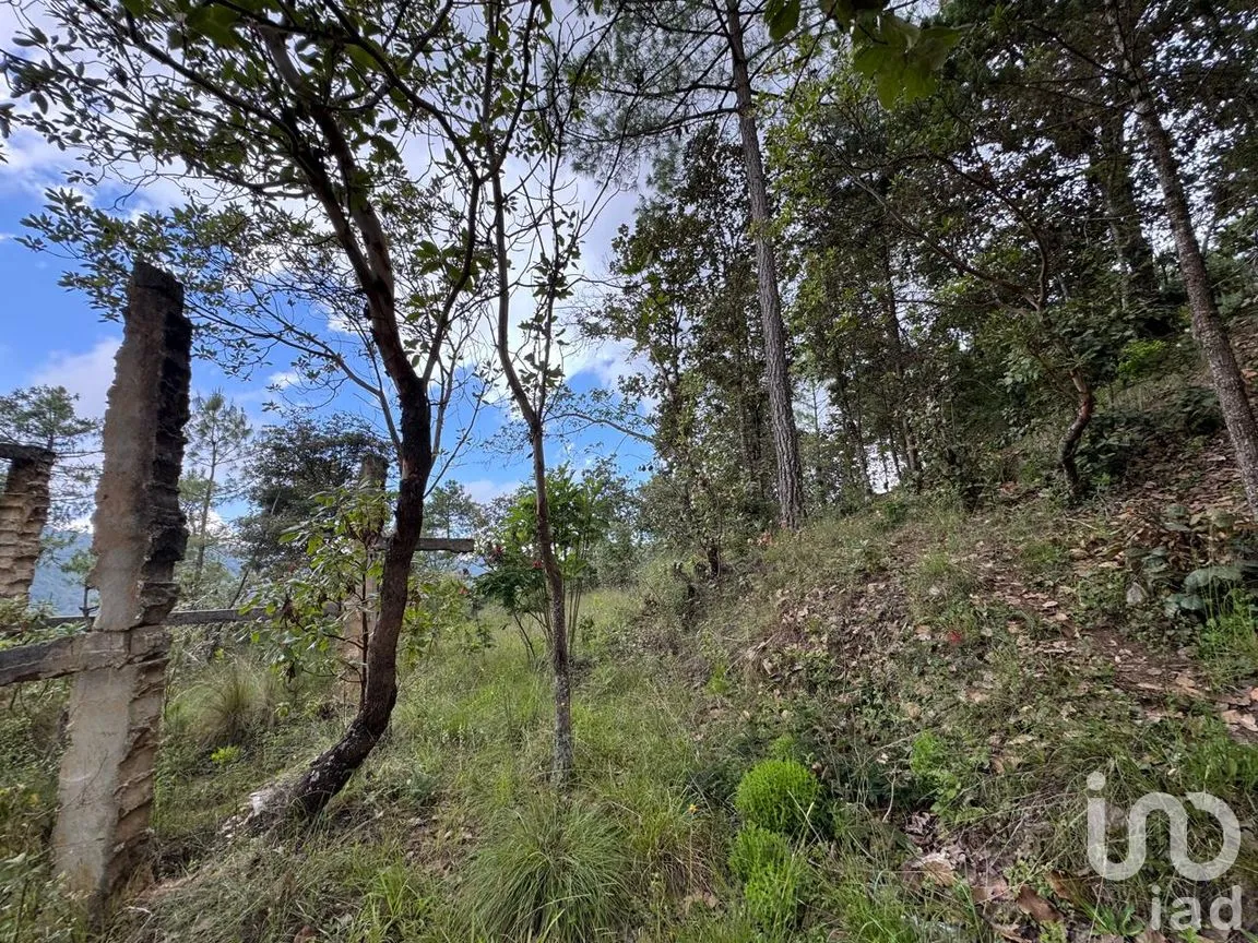 Terreno en Venta en Huitepec Ocotal Sección II, San Cristóbal de las Casas, Chiapas | NEX-259371 | iad México | Foto 5 de 13