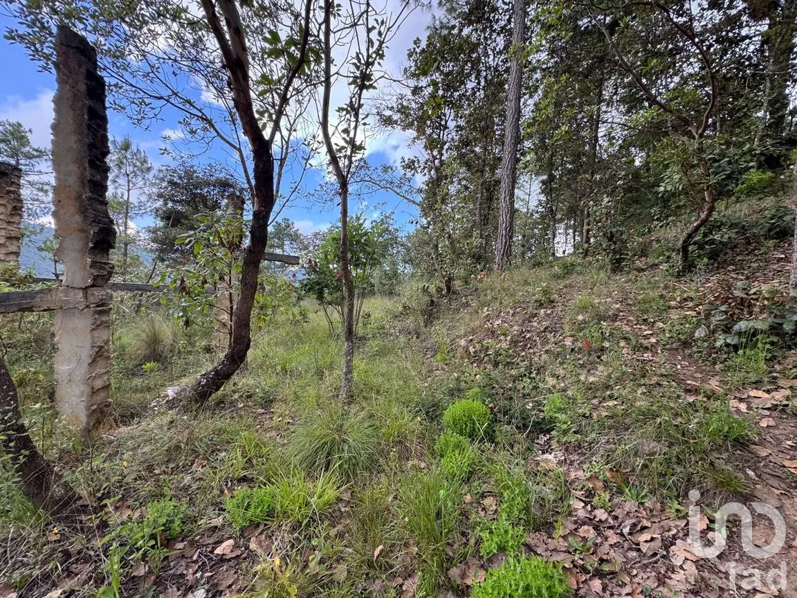 Terreno en Venta en Huitepec Ocotal Sección II, San Cristóbal de las Casas, Chiapas | NEX-259371 | iad México | Foto 6 de 13