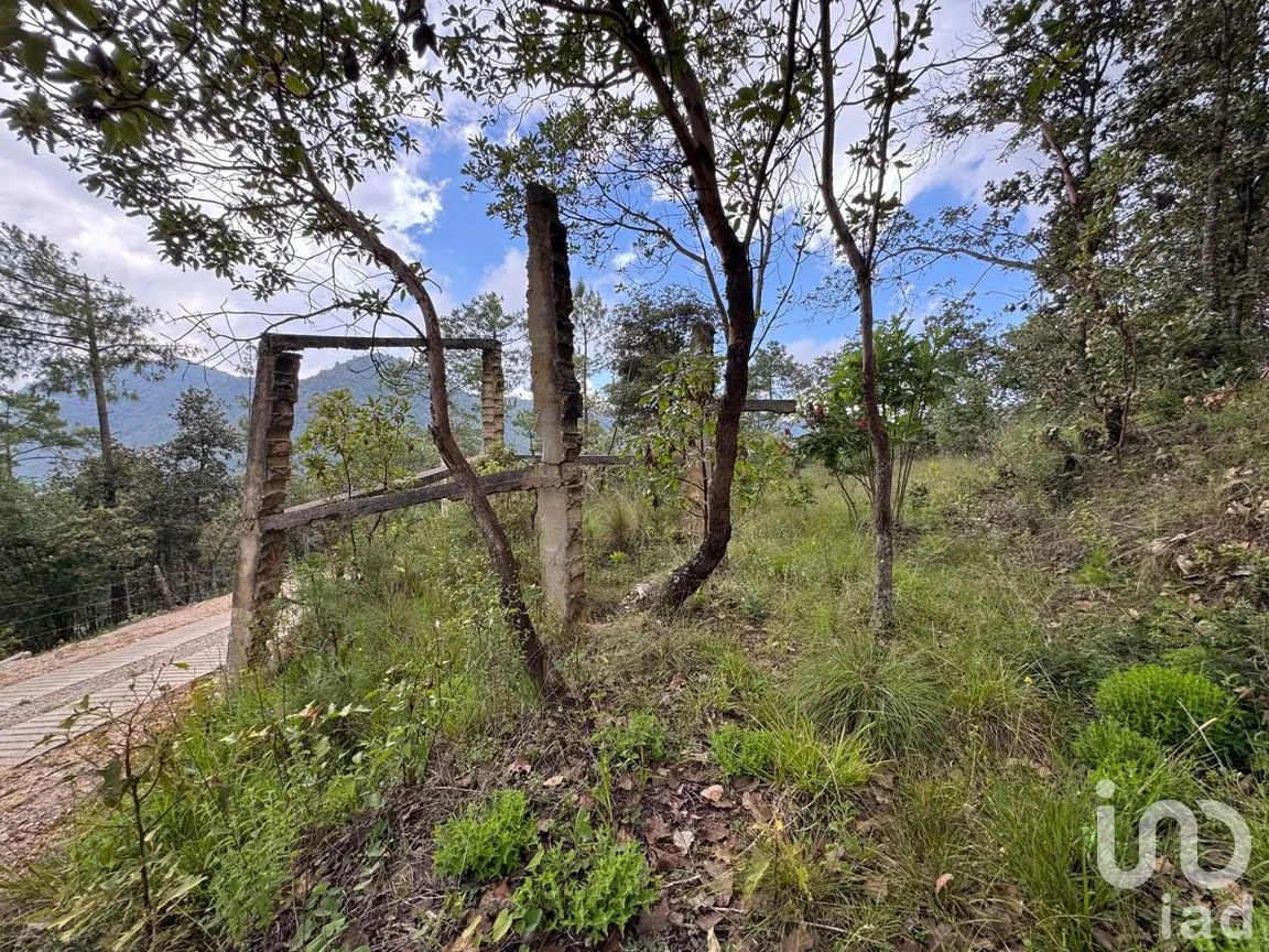 Terreno en Venta en Huitepec Ocotal Sección II, San Cristóbal de las Casas, Chiapas | NEX-259371 | iad México | Foto 7 de 13